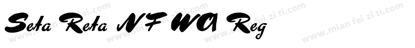 Seta Reta NF WO1 Reg字体转换